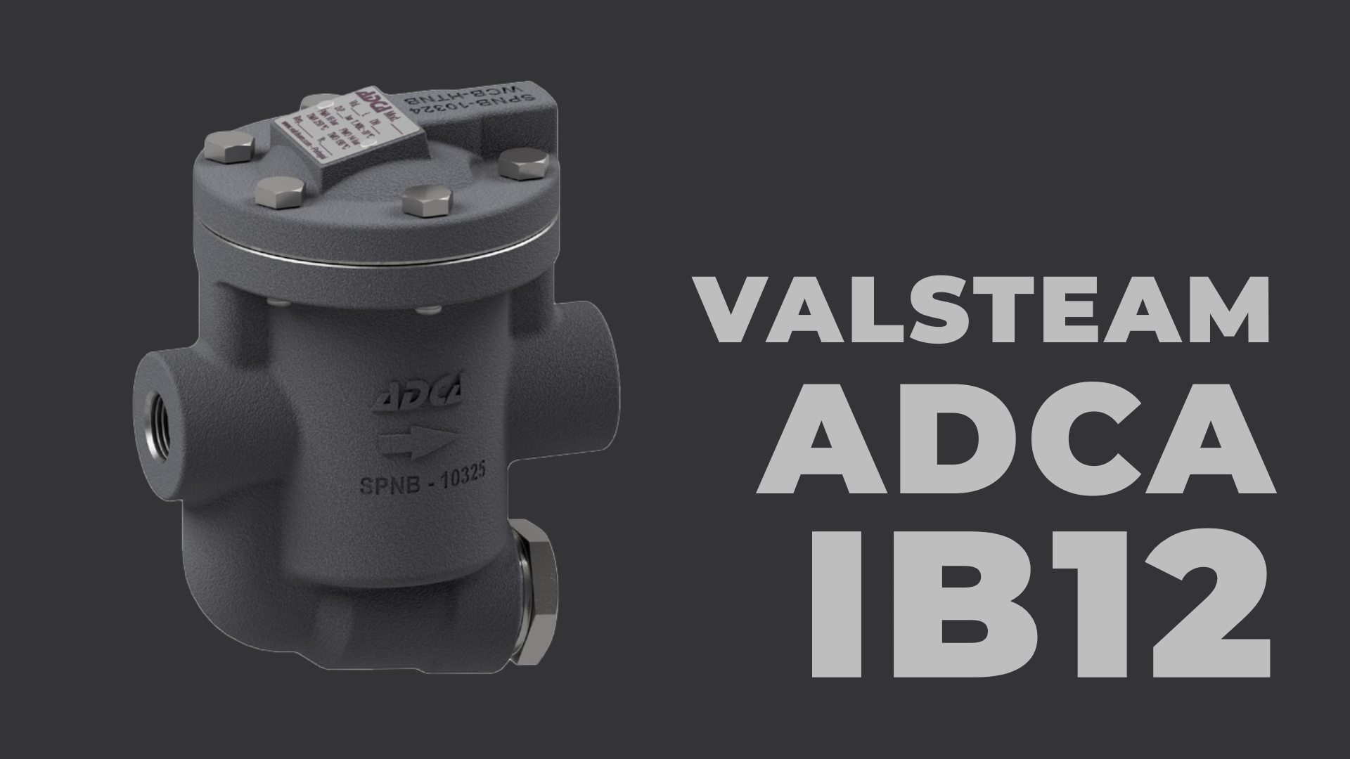Hướng dẫn lắp đặt và bảo trì Bẫy hơi gầu đảo Valsteam ADCA IB12