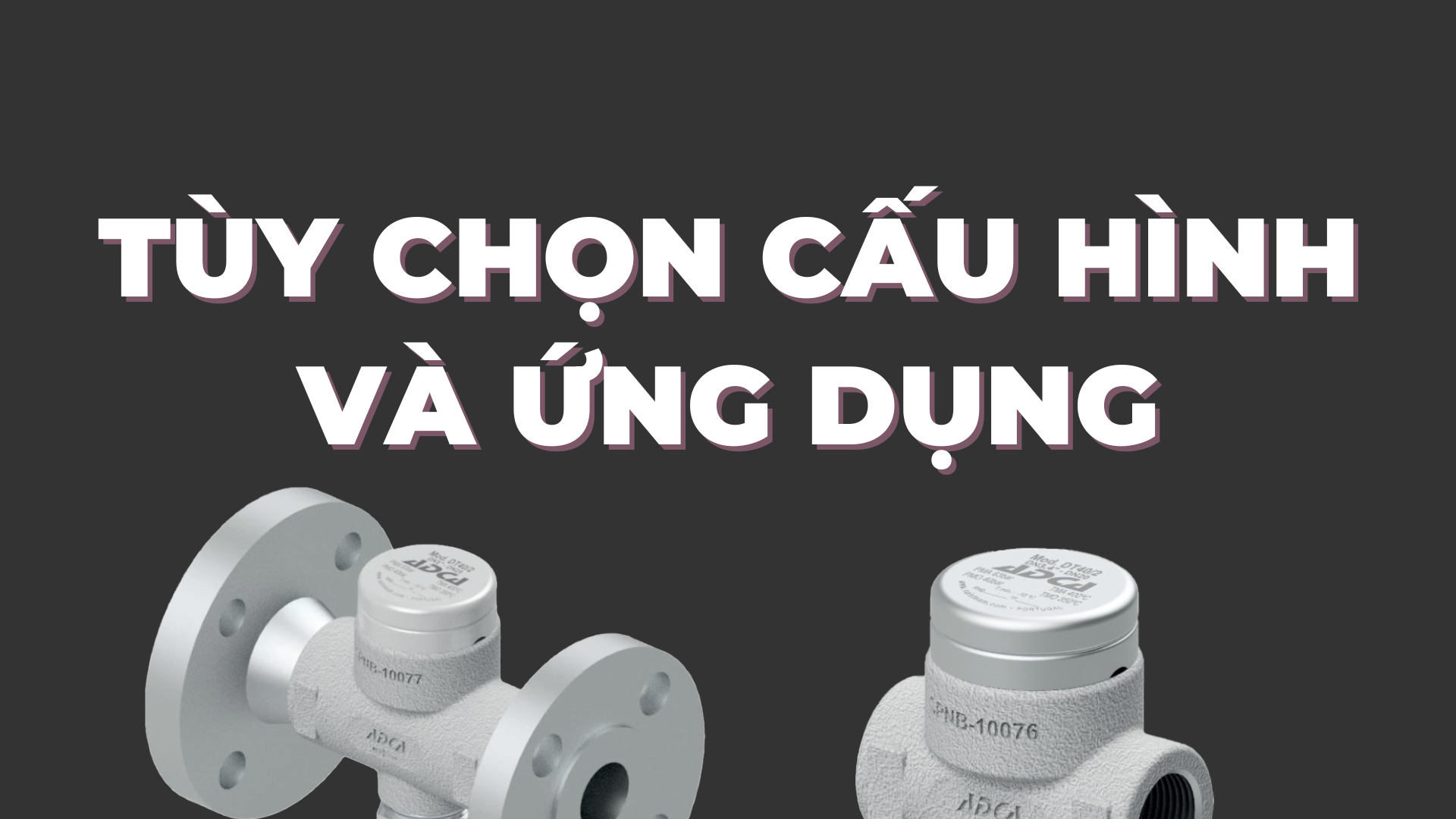 Tùy Chọn Cấu Hình và Ứng Dụng của Bẫy Hơi nhiệt động Valsteam ADCA DT40/2